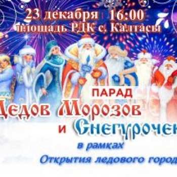 Парад Дедов Морозов и Снегурочек